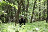 Promenons nous dans les bois 101 * 5616 x 3744 * (9.89MB)